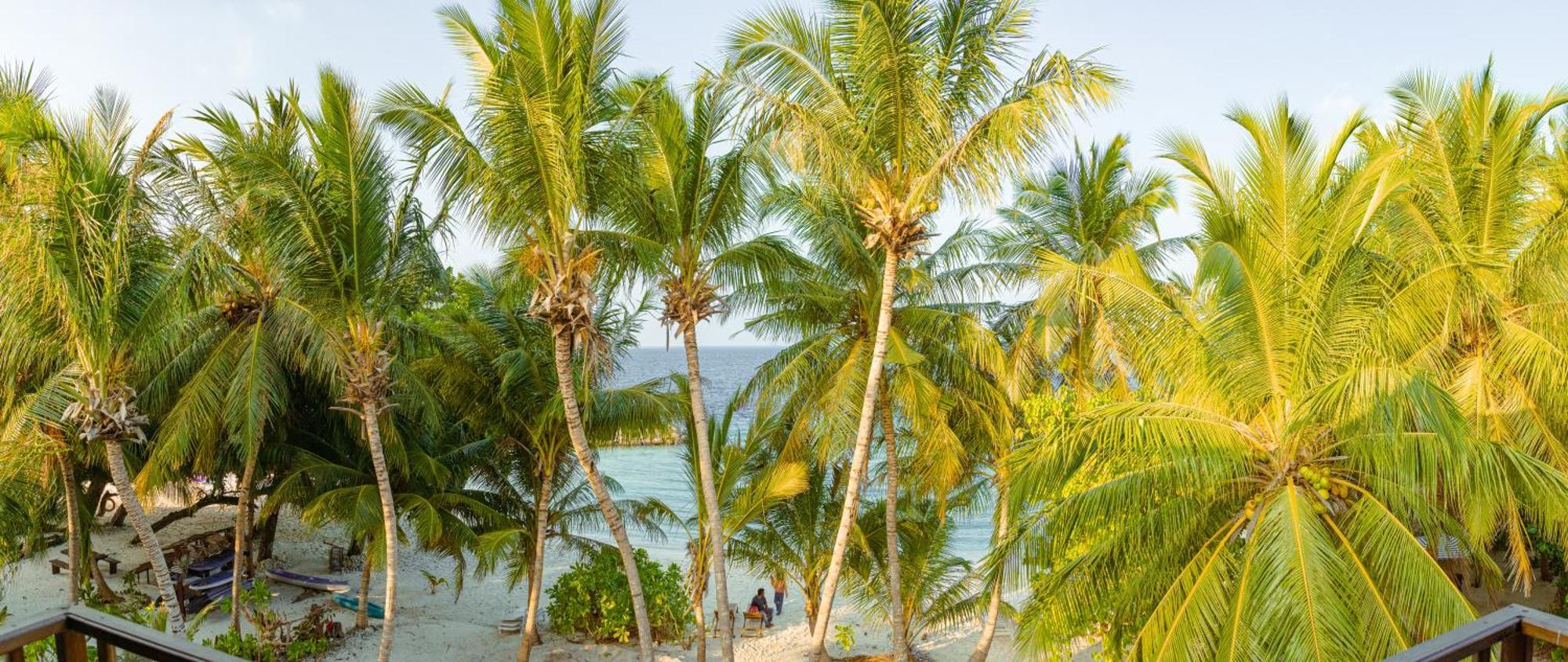 Chak'Z 1964 Beach Dharavandhoo Exterior photo